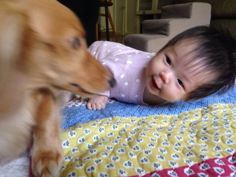 photo:05
