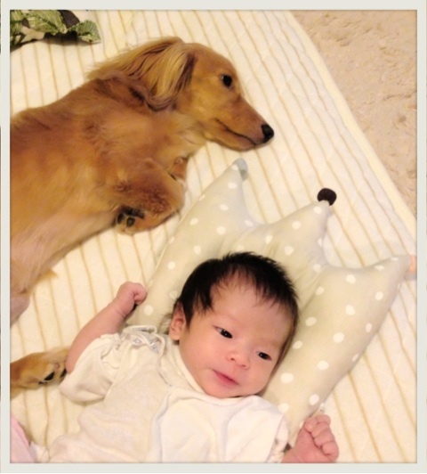 photo:05