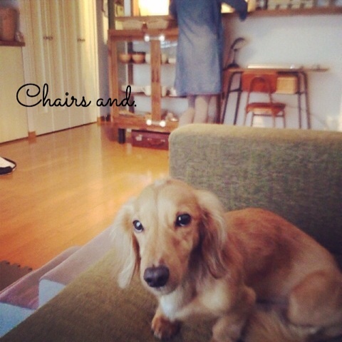 photo:05