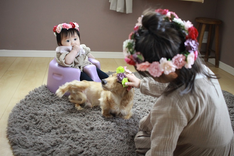 記念写真に 100均の造花で作る花冠 Chairs And インテリアコーディネーター的ｄｉｙと暮らしのブログ Powered By ライブドアブログ