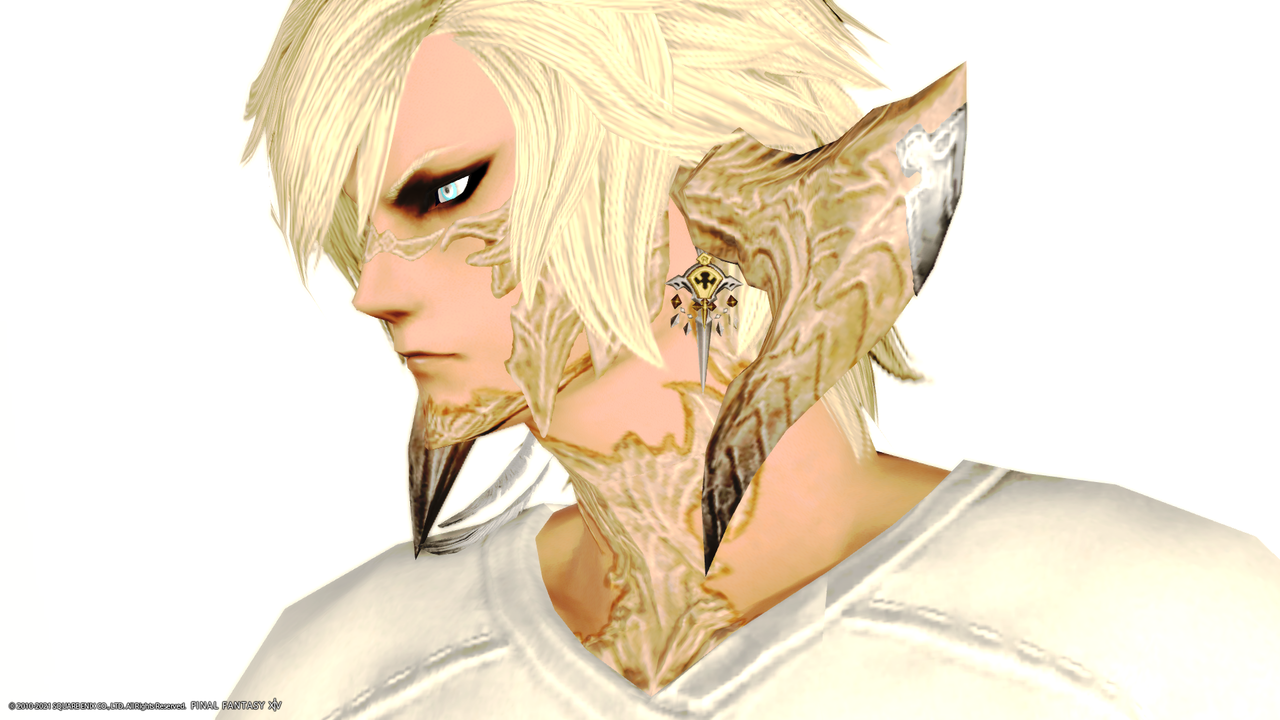 ほぼ 全ロール着用可能な耳飾りコレクション 可愛いアウラ族男性画像まとめ