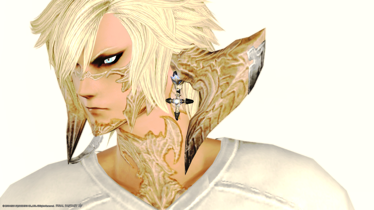 ほぼ 全ロール着用可能な耳飾りコレクション 可愛いアウラ族男性画像まとめ