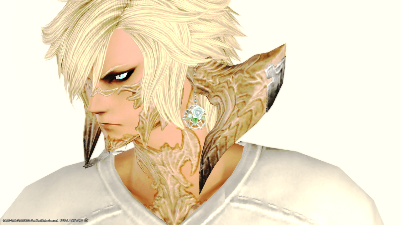 ほぼ 全ロール着用可能な耳飾りコレクション 可愛いアウラ族男性画像まとめ