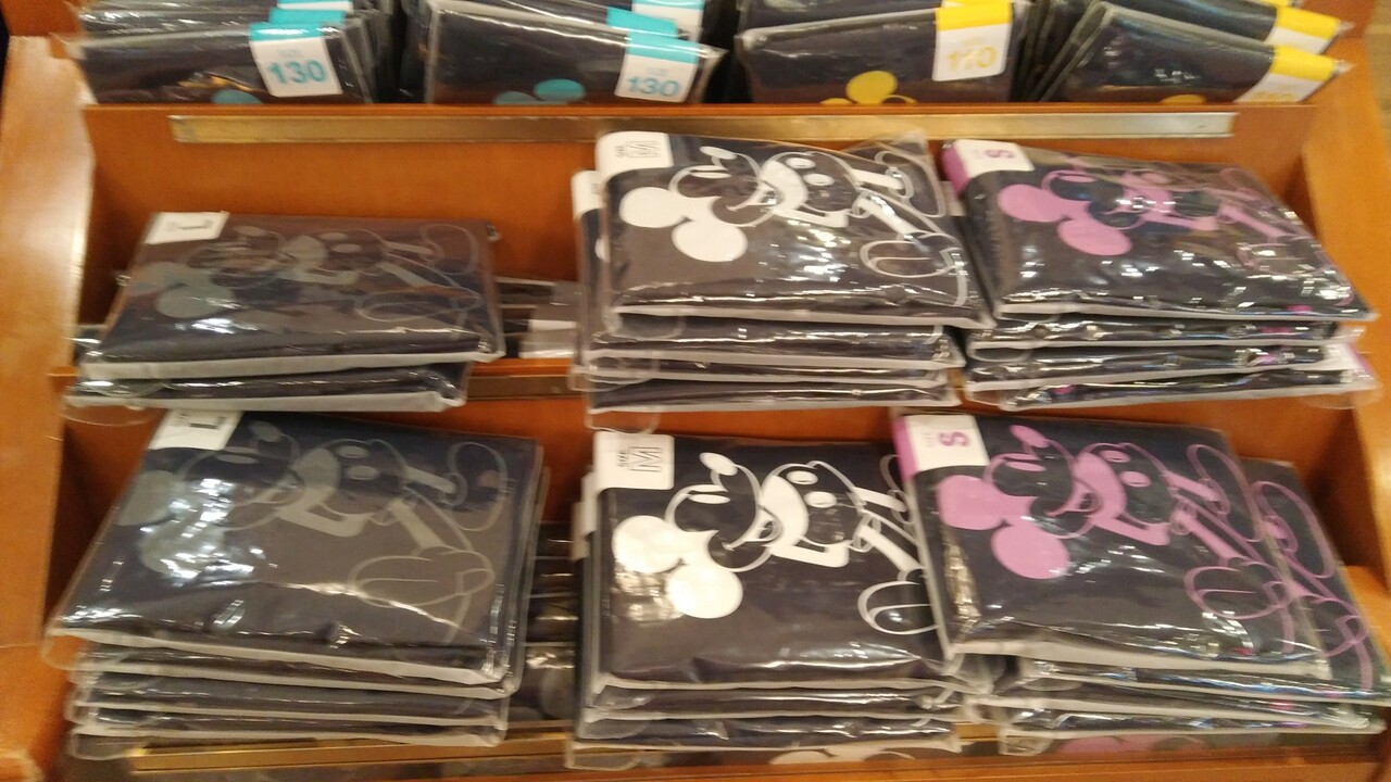 ディズニーランドに行ってきました Chakkoのtdrに行ったよ ディズニーランドに行ってきました Chakkoのtdrに行ったよ
