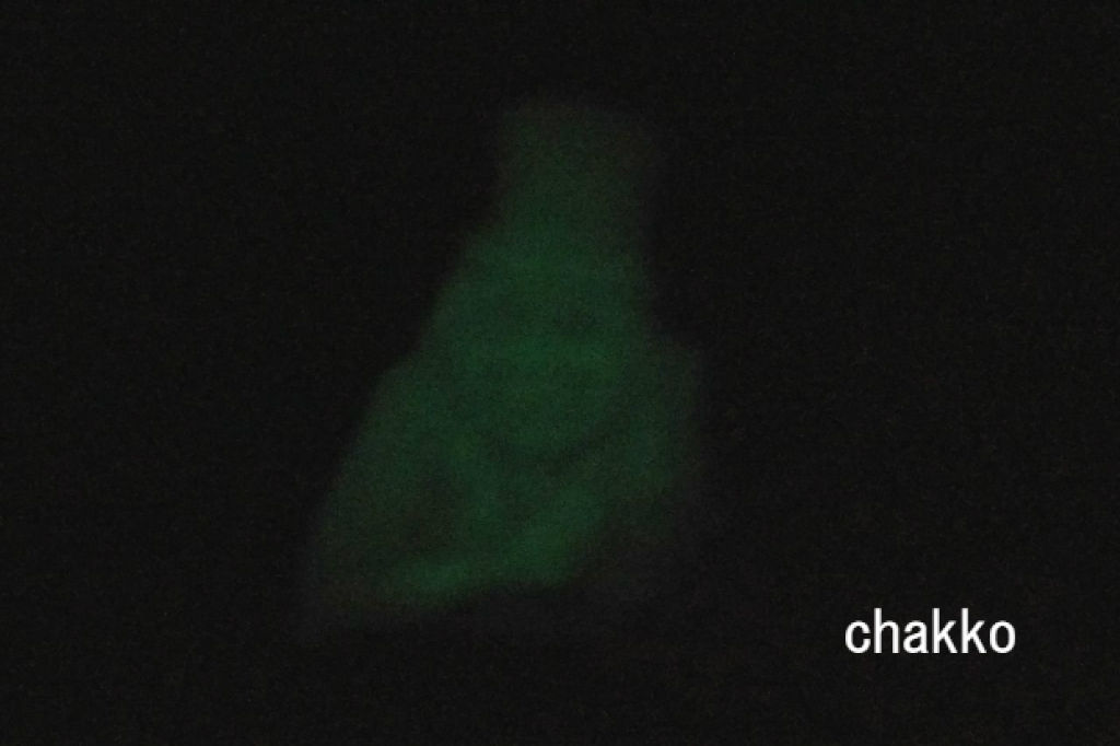 暗闇で怪しく光るのは Chakkoのtdrに行ったよ 暗闇で怪しく光るのは Chakkoのtdrに行ったよ