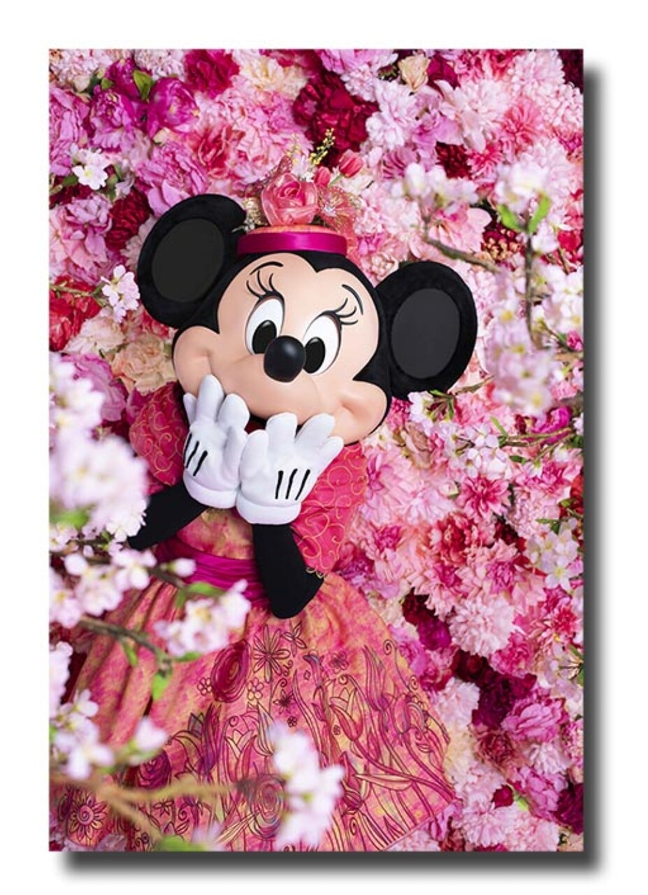 イマジニング ザ マジック第２弾のミニーちゃんが可愛過ぎです Chakkoのtdrに行ったよ