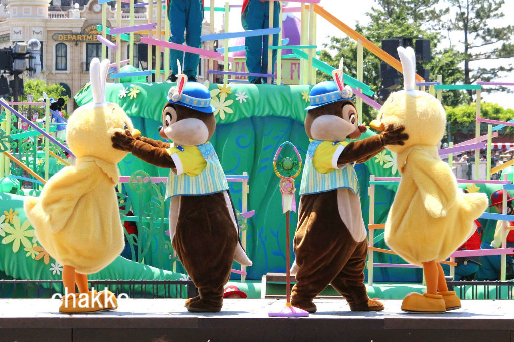 ザンビ前の噂の可愛いダンサーさん Chakkoのtdrに行ったよ