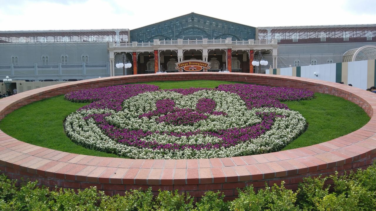 ディズニーランドに来ています Chakkoのtdrに行ったよ ディズニーランドに来ています Chakkoのtdrに行ったよ