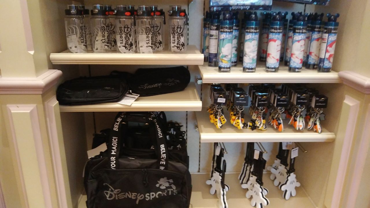 ディズニーランドに来ています Chakkoのtdrに行ったよ ディズニーランドに来ています Chakkoのtdrに行ったよ
