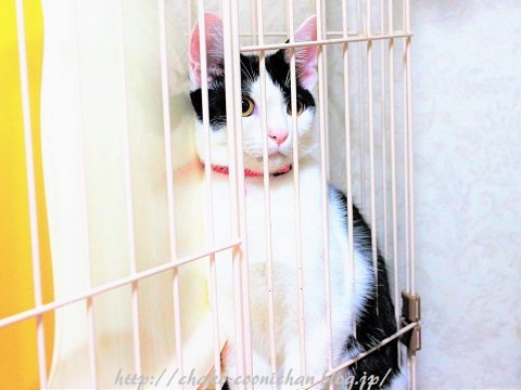 IMG_0126 (5)a11