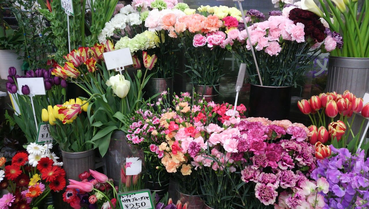 市川花屋 花くめ本店 本日のオーダー花束 茶くめ日和