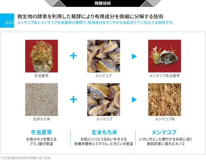発酵技術