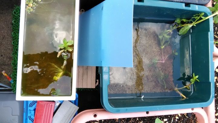 水槽追加