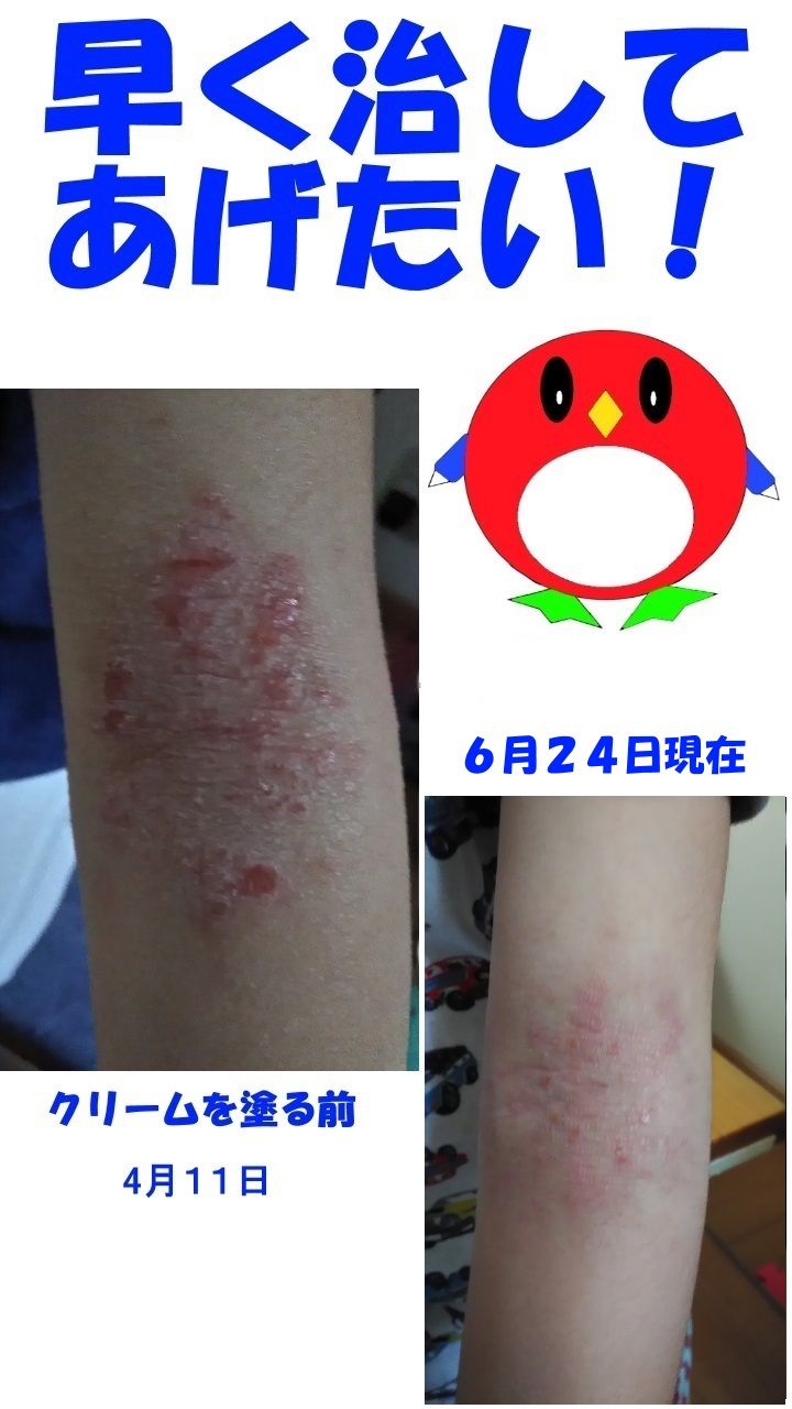 6月24日 綺麗になってきたよ!