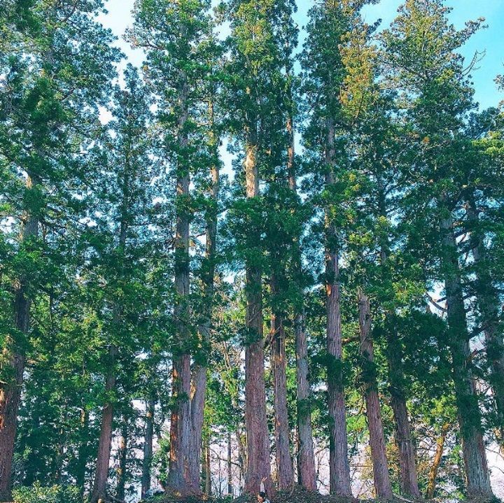 内山理名