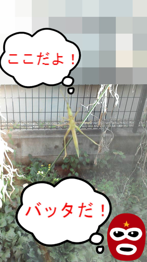 BlogPaint