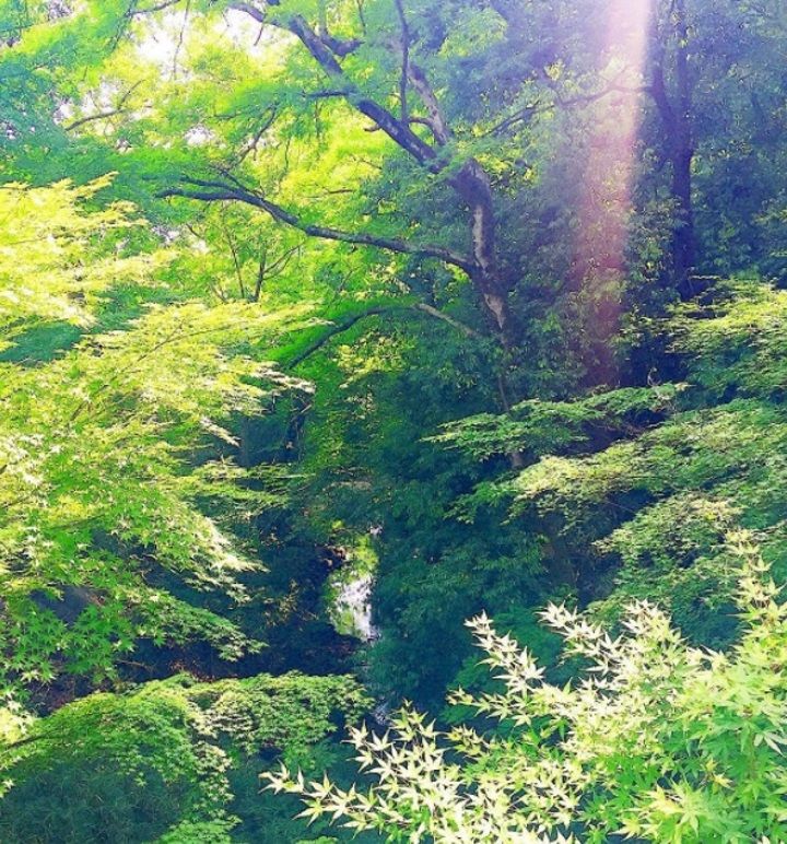 内山理名