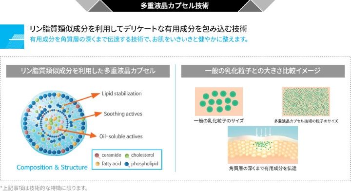 多重液晶カプセル技術