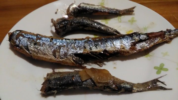 8月25日 晩ご飯