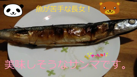 BlogPaint