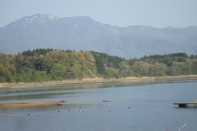 佐渡の風景５８ 加茂湖 山 湖 田 鳥 佐渡広場