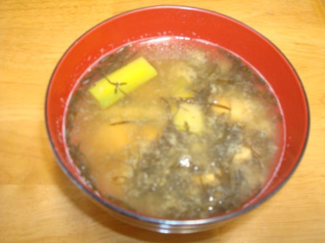 佐渡の味覚32 真冬に収穫する海藻 2 ナガモ アカモク 佐渡広場 佐渡の味覚32 真冬に収穫する海藻 2 ナガモ アカモク 佐渡広場