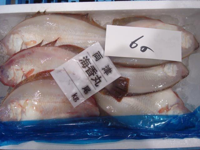 佐渡の味覚３８ 新潟魚市場で見た佐渡の海産物 佐渡広場