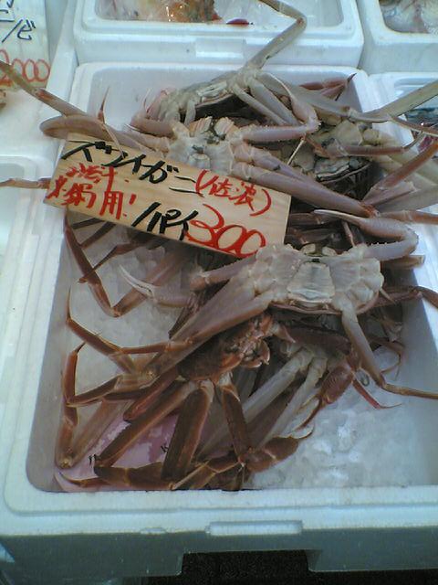 歴史スポット２２ カニ漁 佐渡広場