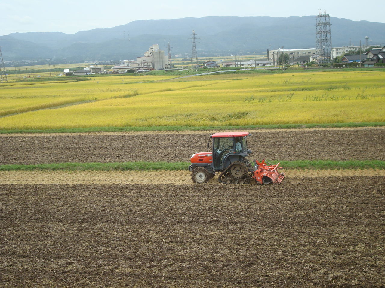 事業 産業77 米作農業 14 稲刈り 佐渡広場