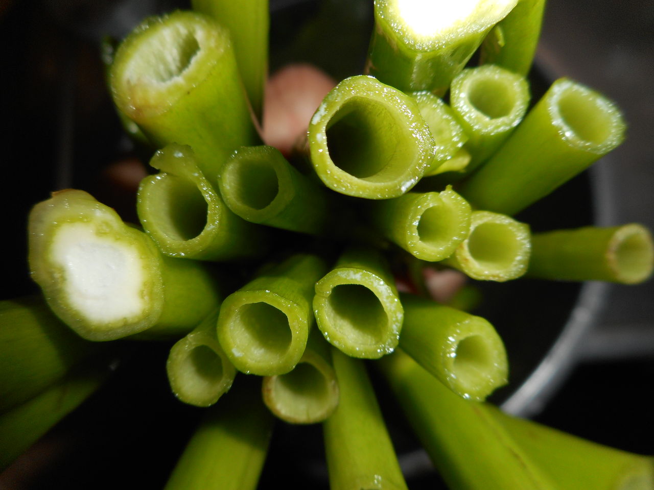 空芯菜で何作る カモミールのじゅうたん 空芯菜で何作る カモミールのじゅうたん