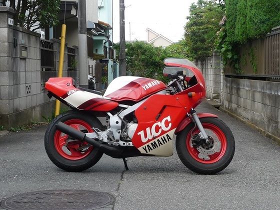 気まぐれでYSR50を出してみました♪ : けんじぃ日記（チャンプ