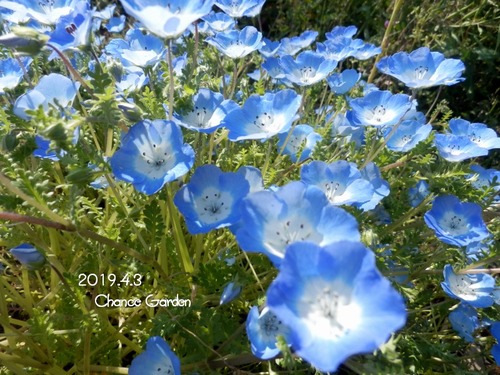 2019.4.3H7