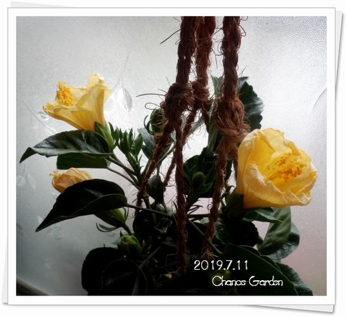 2019.7.11CG1
