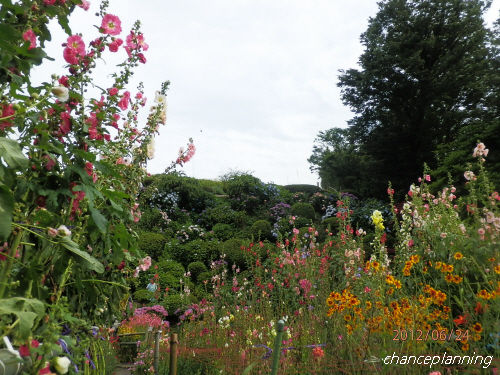 2012.6.24-隠れ菖蒲園