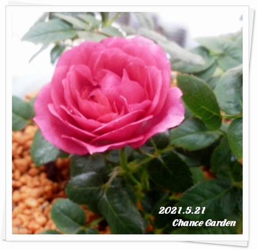 2021.5.21CG-mb2