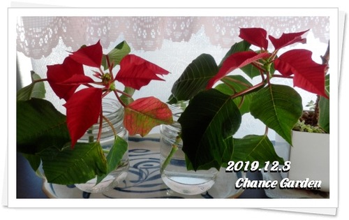 2019.12.8e