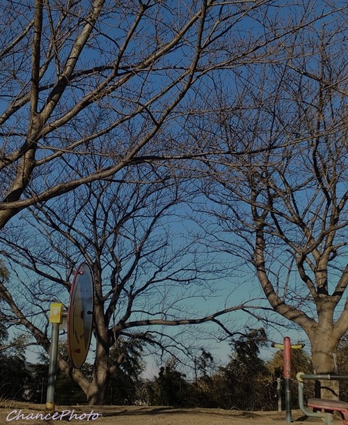 20260203DGS (3)