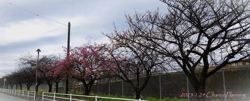 20230124ms (3)