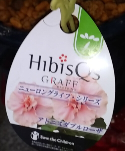 20260812HIB550 (5)