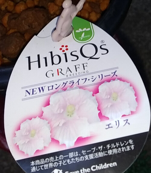 20260812HIB550 (7)
