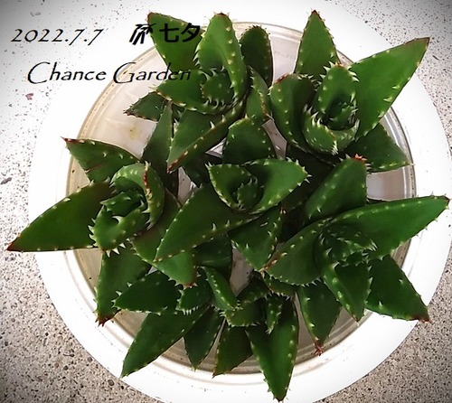20220707-¡ù (26)