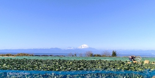 20240109GS-fuji (10)