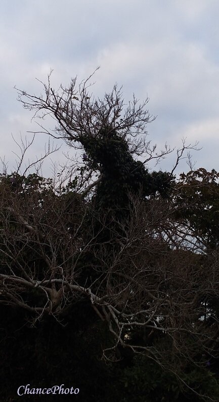 20231125GS-pm (2)