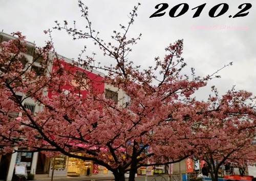 2010.2m
