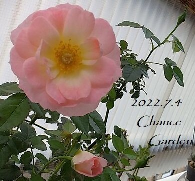 220704-etcP