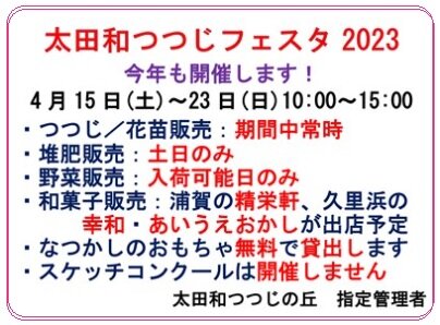 2023-tutuji