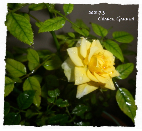 2021.7.3CG-mbY