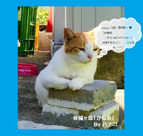 j-miko