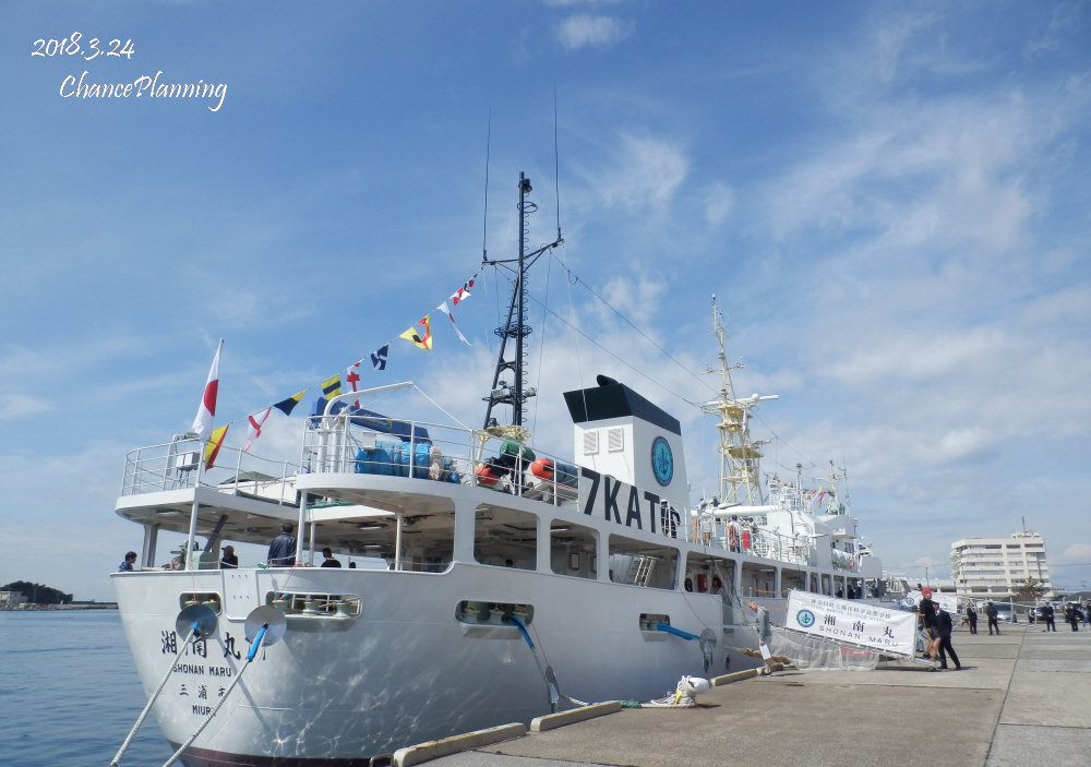 新 湘南丸 三崎港 花暮岸壁 チャンスの輪 Byチャンス企画