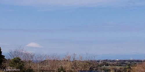 20240209-fuji (17)